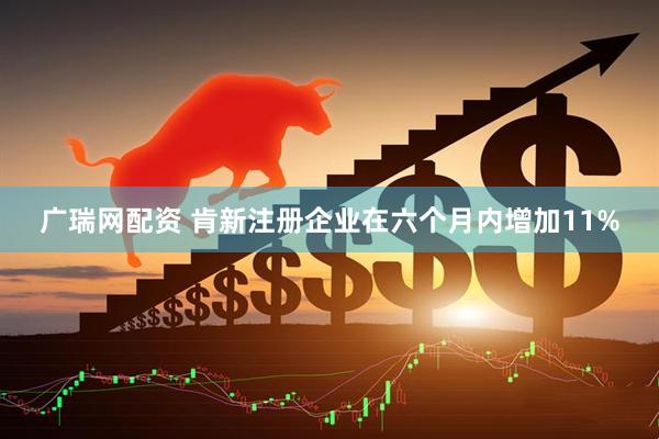广瑞网配资 肯新注册企业在六个月内增加11%