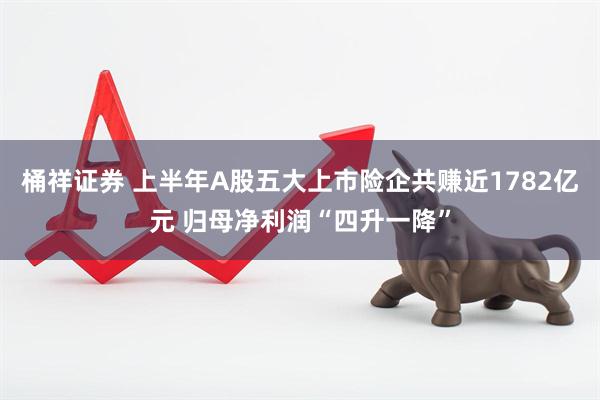 桶祥证券 上半年A股五大上市险企共赚近1782亿元 归母净利润“四升一降”