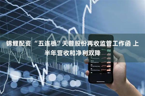 锦鲤配资 “五连板”天普股份再收监管工作函 上半年营收和净利双降