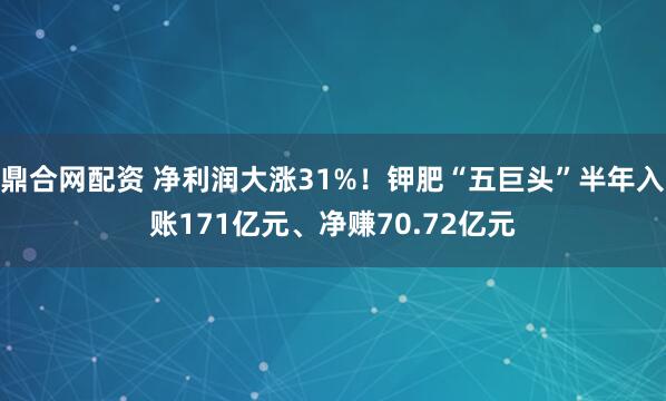鼎合网配资 净利润大涨31%！钾肥“五巨头”半年入账171亿元、净赚70.72亿元