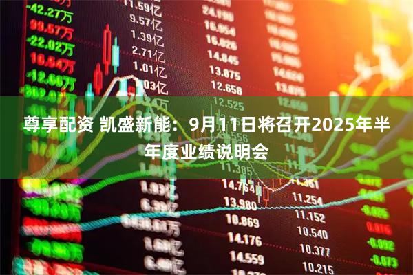 尊享配资 凯盛新能：9月11日将召开2025年半年度业绩说明会