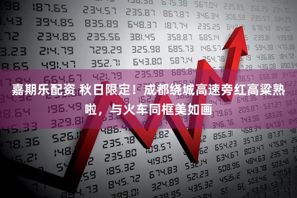 嘉期乐配资 秋日限定！成都绕城高速旁红高粱熟啦，与火车同框美如画
