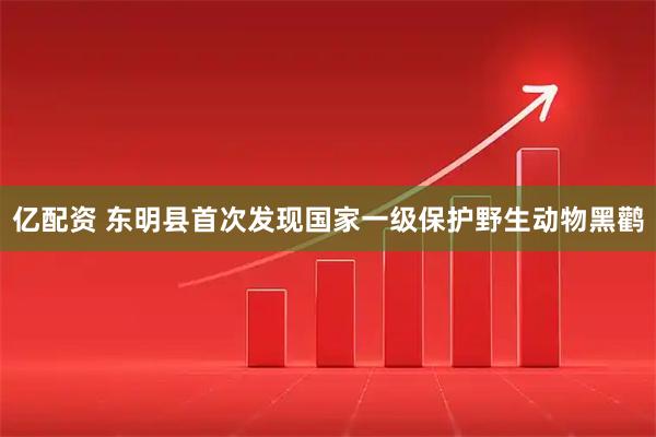 亿配资 东明县首次发现国家一级保护野生动物黑鹳