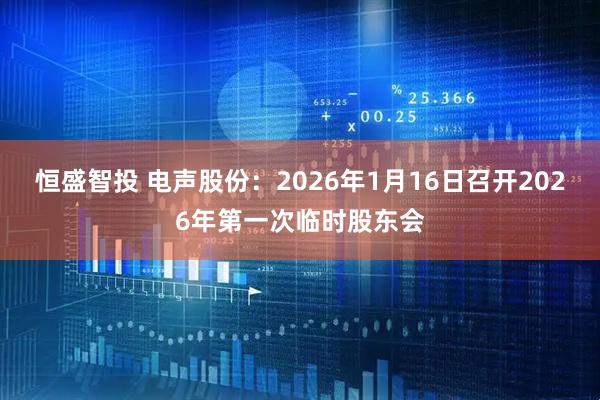 恒盛智投 电声股份：2026年1月16日召开2026年第一次临时股东会